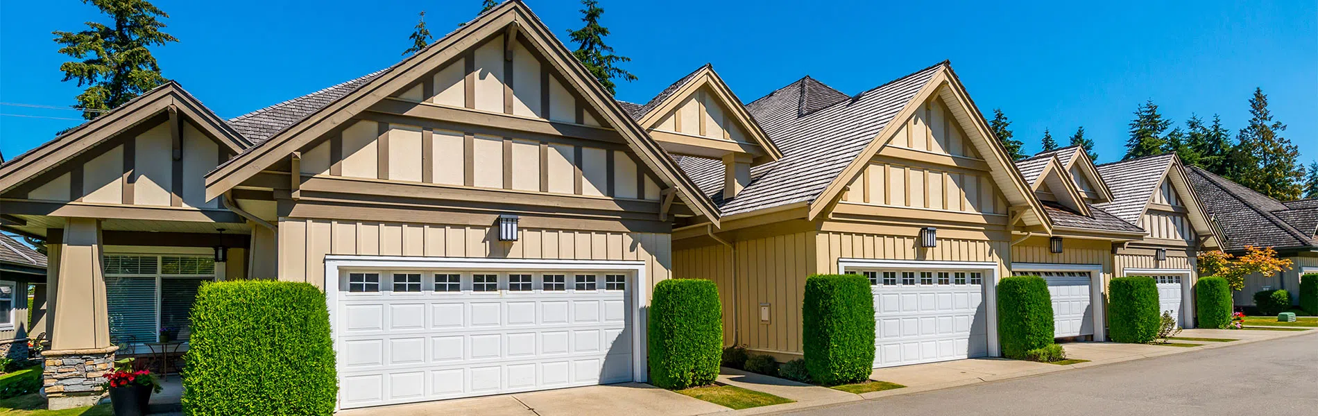 logo-image - banner-01